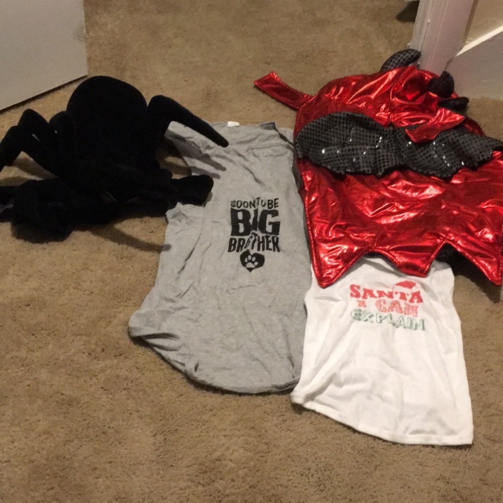 Large dog bundle
